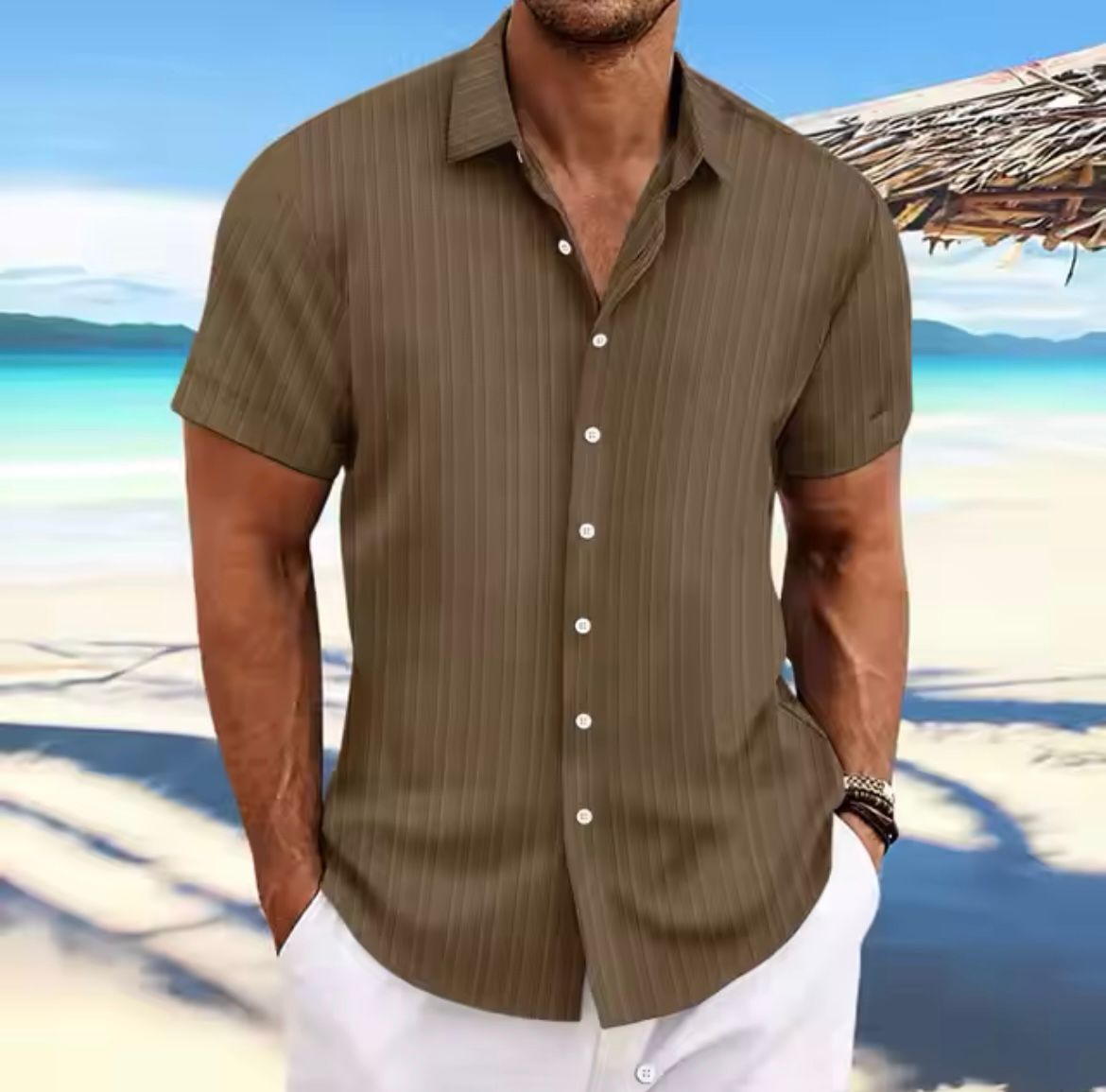Brown pinstripe short-sleeve button-up casual blouse with spread collar