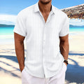 White pinstripe short-sleeve button-up casual blouse with spread collar