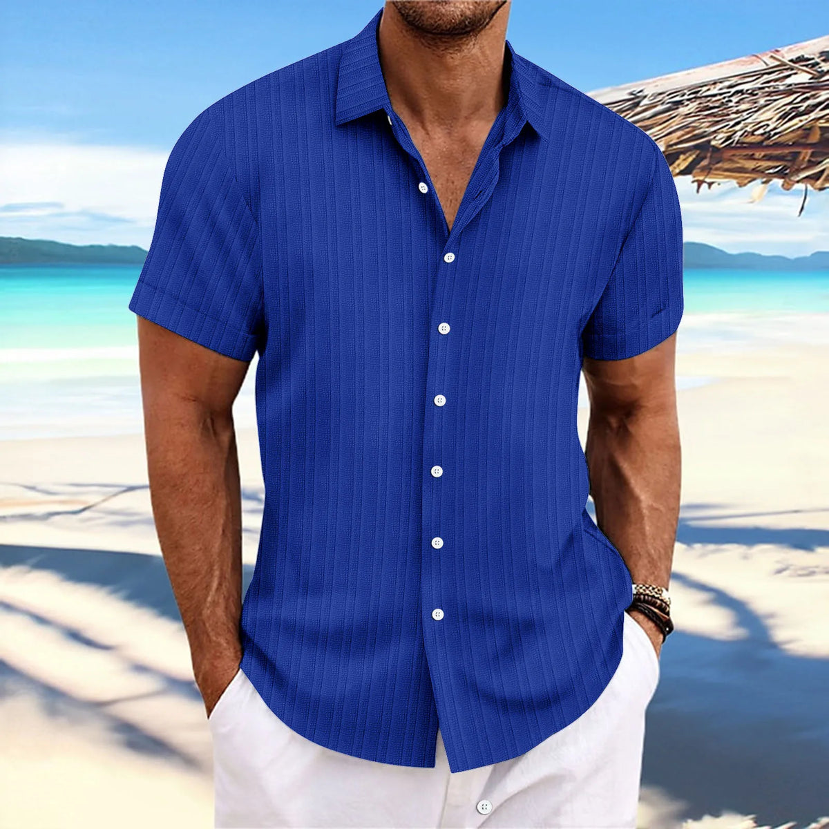 Blue pinstripe short-sleeve button-up casual blouse with spread collar